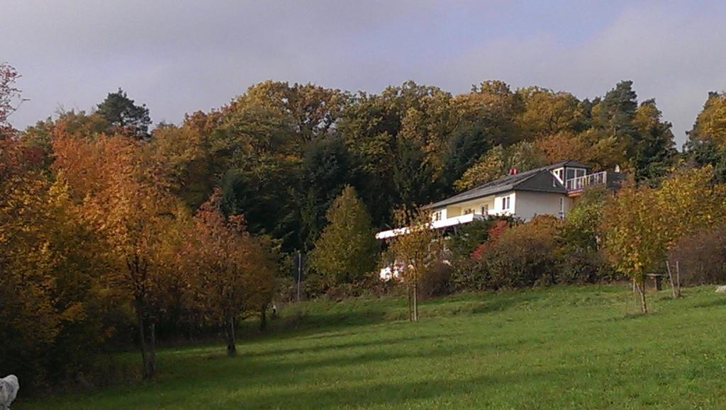 Zum Rebhang Bed & Breakfast Oestrich-Winkel Exterior foto